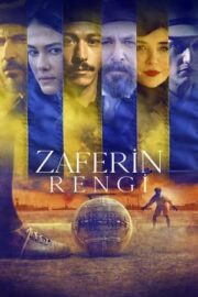 Zaferin Rengi